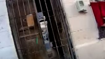 condenan a 3 anos de carcel a una mujer que distribuia droga