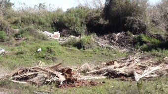 Foto: Subrayado. Lugar del hallazgo del cuerpo, río San José.
