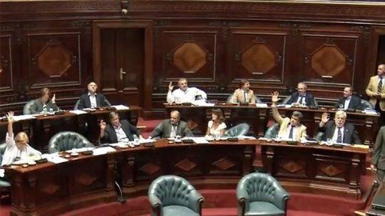 senado cincuentones