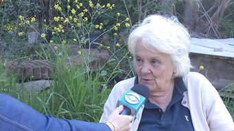 topolansky dijo que si carrera no renunciaba a la 609 era una complicacion para el, para el fa y para la lista