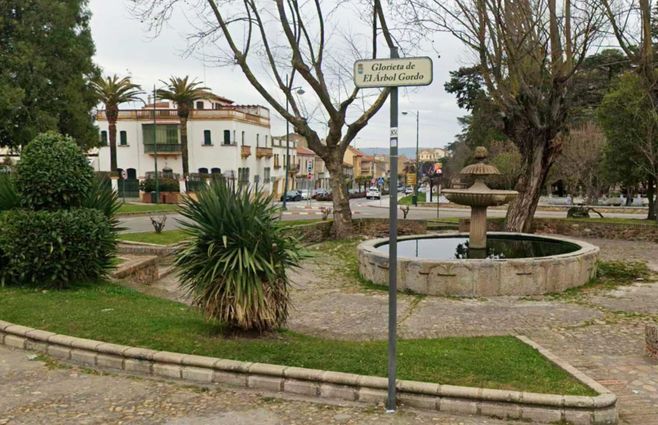 Foto: Google Maps. Glorieta del Árbol Gordo en Ciudad Rodrigo, Salamanca.