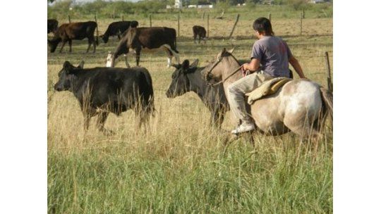 Por decreto, el gobierno laudó salario de trabajadores rurales
