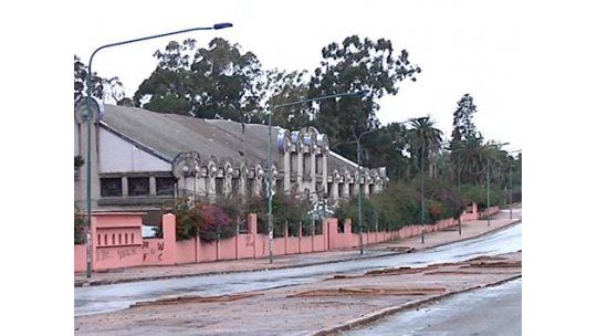 Se extrajeron 90 árboles del barrio Prado