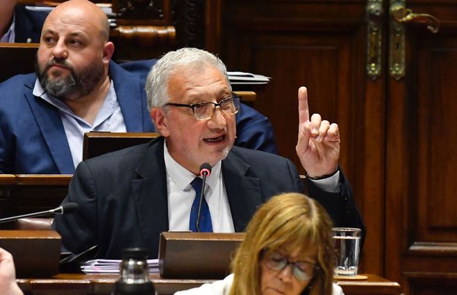 Gerardo Sotelo, Interpelación a Cristina Lustemberg. Foto: FocoUy