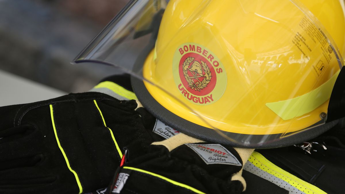 Un hombre de 79 años fue hallado muerto tras un in