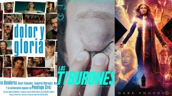 Subrayado | CINE DOLOR Y GLORIA