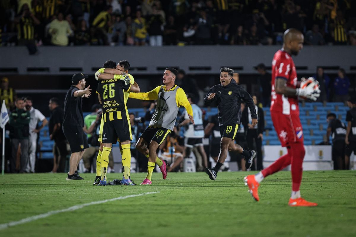 WhatsApp Image 2026-02-01 at 23.32.03