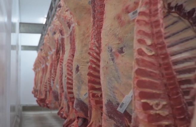 carne-china-mgap-conferencia