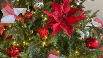 por ahora sin lluvias 24 y 25, la nochebuena fresca a templada con una maxima de 20°, anuncio nubel cisneros