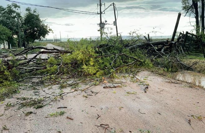 caida-de-arboles-en-noblia.jpg