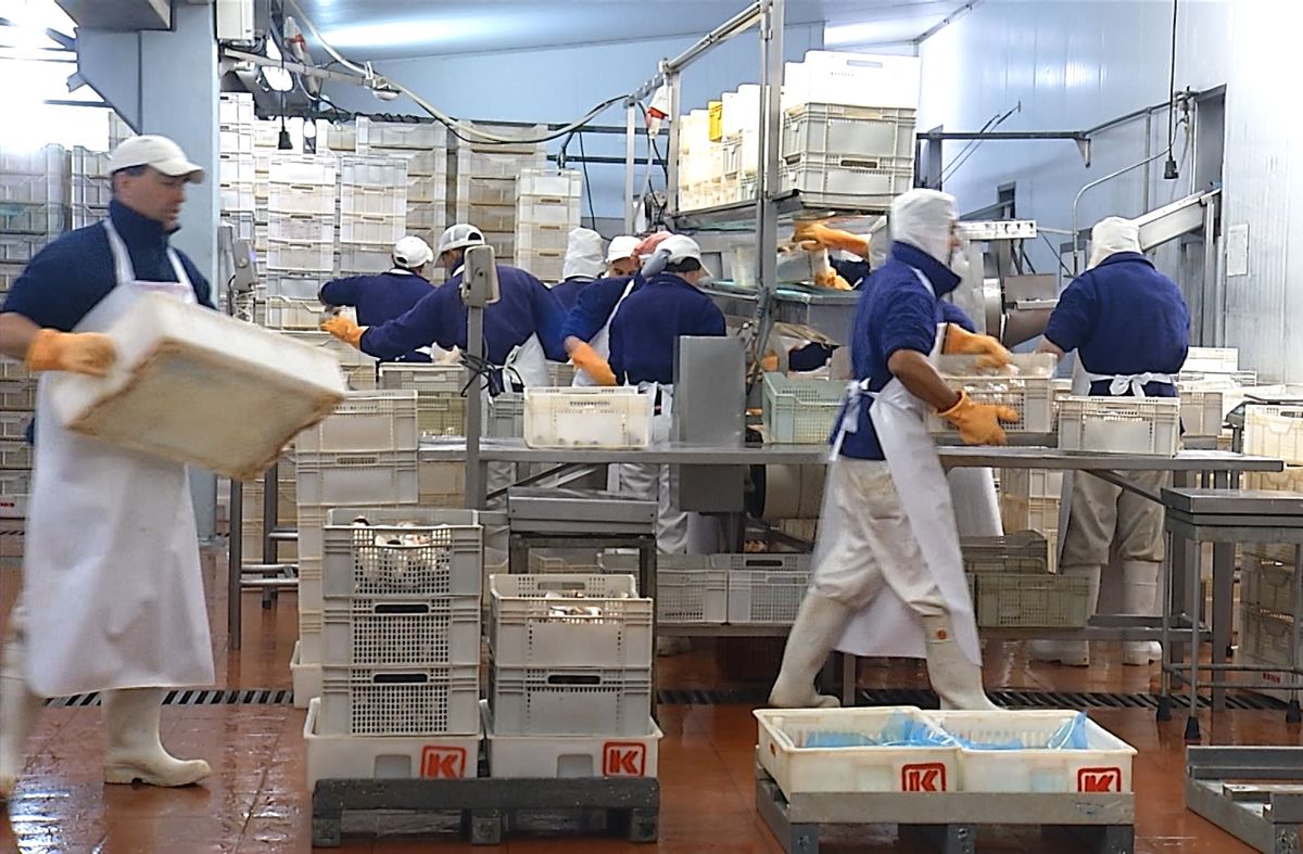 Primer embarque desde Uruguay en el marco del acuerdo Mercosur-Unión Europea fue de la industria pesquera