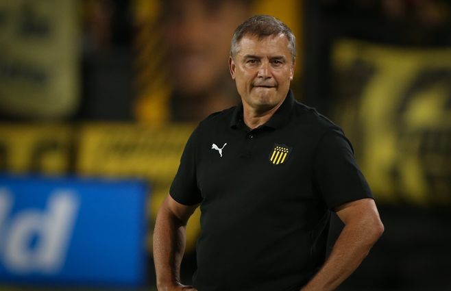 WhatsApp Image 2024-02-05 at 20.41.44.jpeg