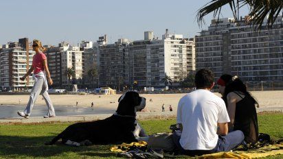 buen tiempo con maxima de 21ºc en montevideo y de 24ºc en el norte