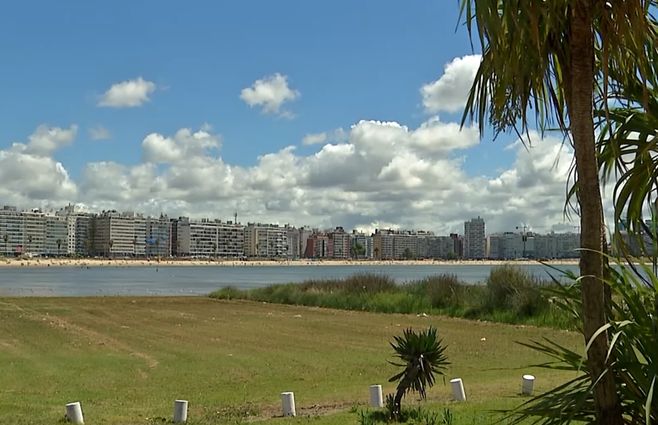 La rambla de Montevideo en primavera.