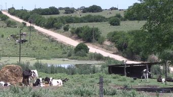 condenaron a un hombre como complice del copamiento en florida; continua la investigacion