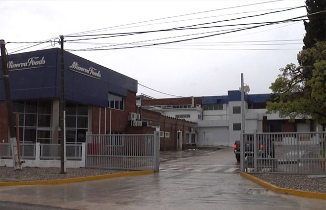minerva-frigorifico-canelones.jpg