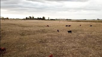 gobierno declaro la emergencia agropecuaria por deficit hidrico para localidades de 10 departamentos