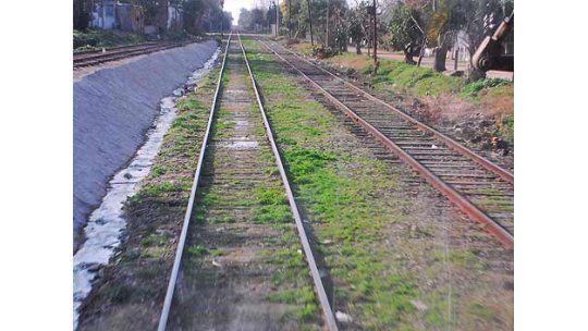 Mueren 47 niños en accidente de tránsito con un tren en Egipto