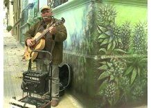 Abrieron la primera “biblioteca cannábica” en zona de Parque Rodó