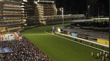 Subrayado | 5 MICRO TURF 24 D MAR