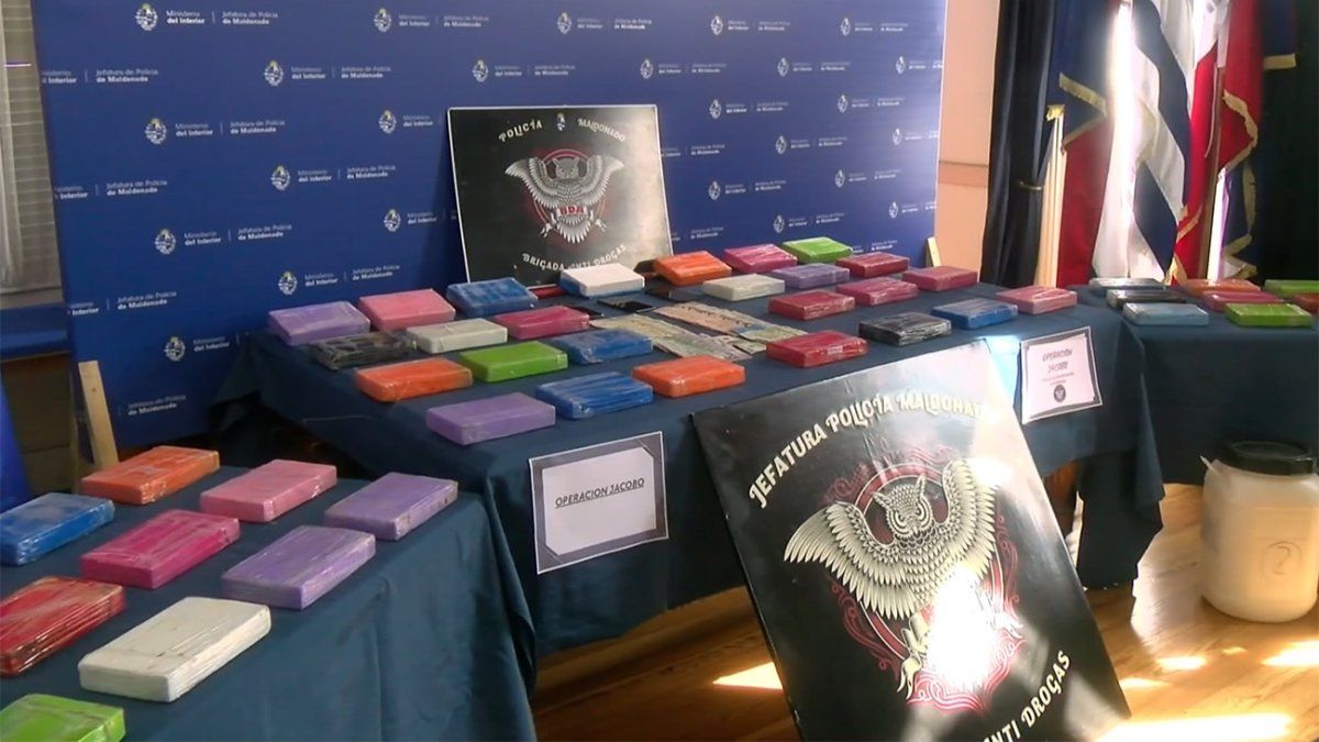 Un hombre fue condenado por los 53 kilos de cocaína valuados en medio millón de dólares incautados en Maldonado