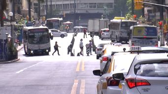 diputada perez bonavita presento proyecto de ley para exigir test psicologicos para permiso de conductor