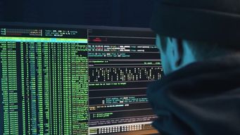 experta en tecnologia califico de alarmantes los ciberataques en uruguay: abre una puerta a extorsion y espionaje, dijo