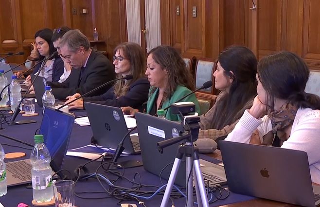 ministra-de-industria-en-comision-senado