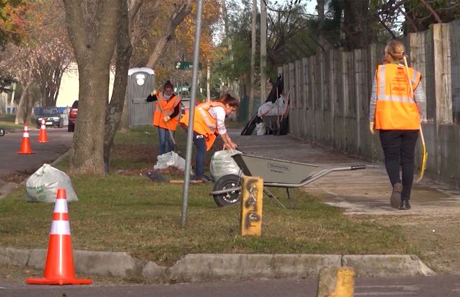 Programa de trabajo solidario.