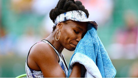 venus williams