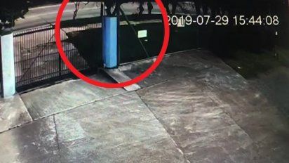 La pareja transitaba por Carrasco Norte. Cámaras de televigilancia registraron el paso de ellos momentos antes del incidente
