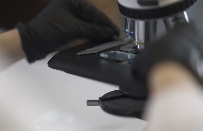 microscopio-bateria-antibiotico