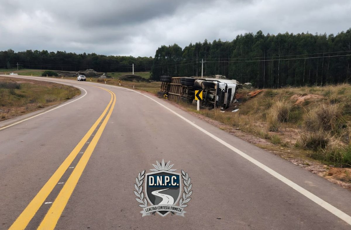 Murió conductor de camión con semirremolque cargado de ganado tras despistar y volcar en ruta 6