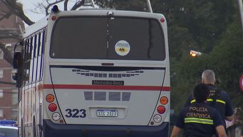 una mujer de 75 anos murio tras ser atropellada por un omnibus en parque batlle