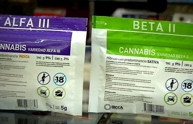 cannabis-de-farmacia
