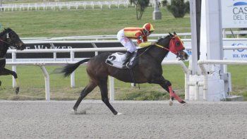 Subrayado | 6 MICRO TURF 19 D AGO