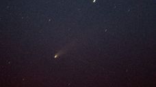 Así pasó por última vez el cometa Lemmon; para volver a verlo habrá que esperar más de 1.000 años Así pasó por última vez el cometa Lemmon; para volver a verlo habrá que esperar más de 1.000 años