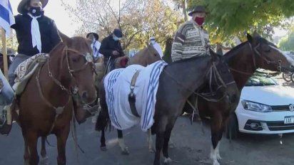 un caballo con el poncho del partido nacional en representacion de la ausencia de jorge larranaga