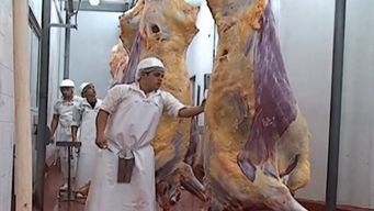 frigorifico casablanca retoma faena: unas 70 personas que estan en seguro de paro vuelven a trabajar