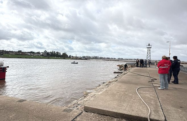 Puerto del Buceo, un auto cayó al agua. Foto: María Eugenia Scognamiglio, Subrayado.