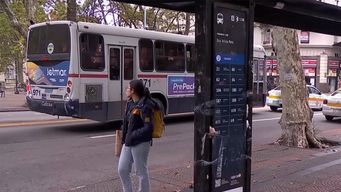 renovacion de paradas de omnibus: lema considero insuficiente inversion de imm