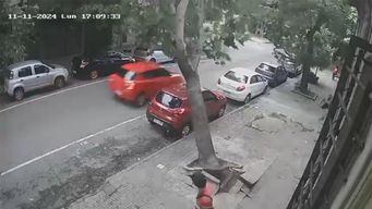 los vientos fuertes tiraron un arbol en el cordon que cayo sobre dos vehiculos