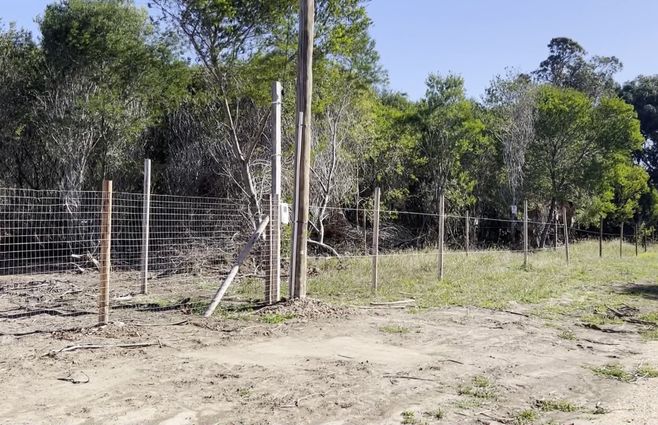 usurpacion-terrenos-en-portezuelo