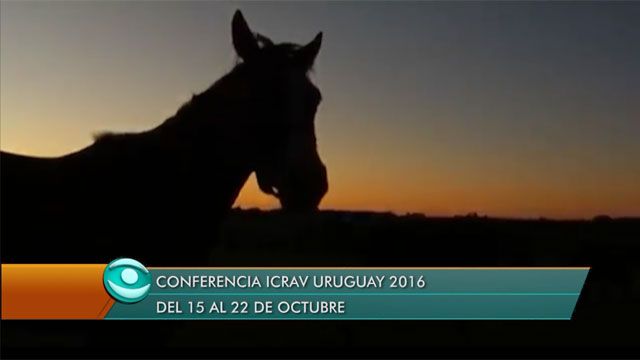 Uruguay será sede de la ICRAV 2016 del 15 al 22 de octubre