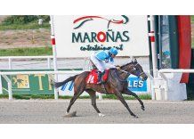 Jump Lady se adjudicó el Clásico Los Haras (G3)