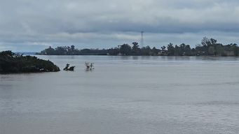 estiman en salto que seran mil los desplazados hacia el fin de semana por la crecida del rio uruguay