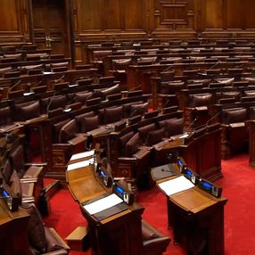 Oposición le propuso al Frente Amplio que comisión investigadora del Parlamento por Cardama sea bicameral Oposición le propuso al Frente Amplio que comisión investigadora del Parlamento por Cardama sea bicameral