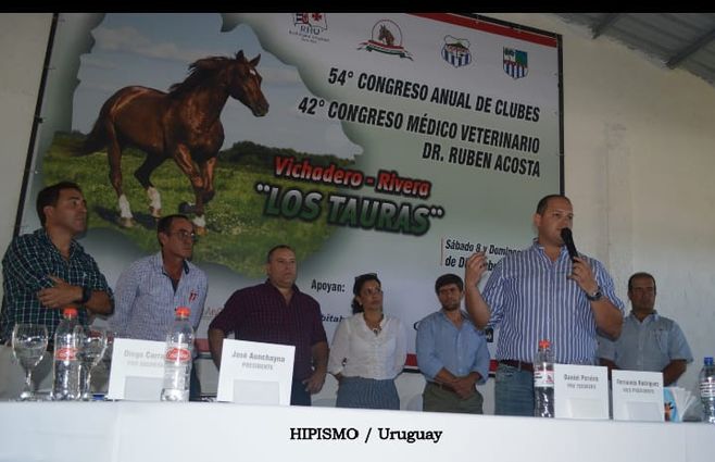 turf federación ecueste.jpg