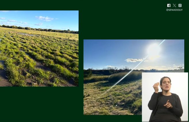 campo-Florida-Fratti-interpelación