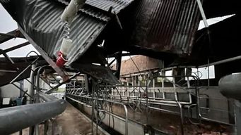 Diego Rivero Camanduli vía Isla Brum